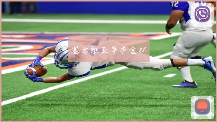 塞尔维亚争夺金杯