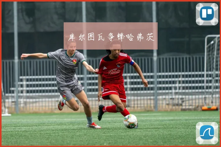 库尔图瓦争锋哈弗茨